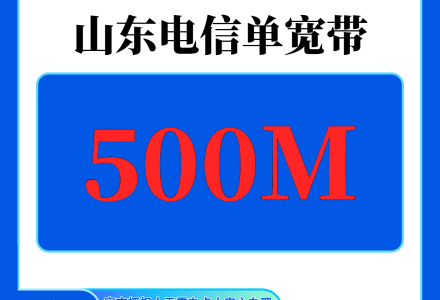 山东电信600元包1年单宽带500M【不含调试费】-绿港号卡网