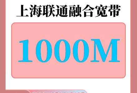 上海联通1200元包1年单宽带1000M【免调试费】-绿港号卡网