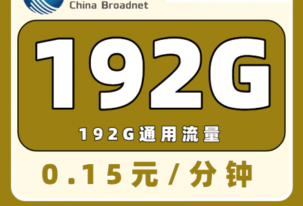 广电升级卡-首年19元192G(发全国)-绿港号卡网