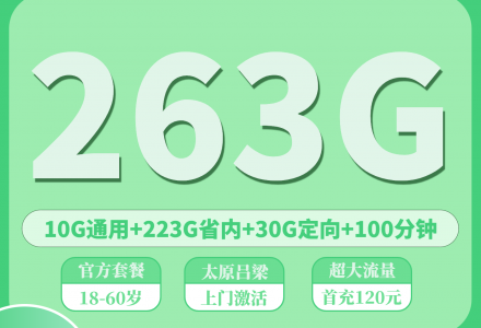 山西移动晋运卡39元263G+100分钟（只发山西太原，吕梁）-绿港号卡网