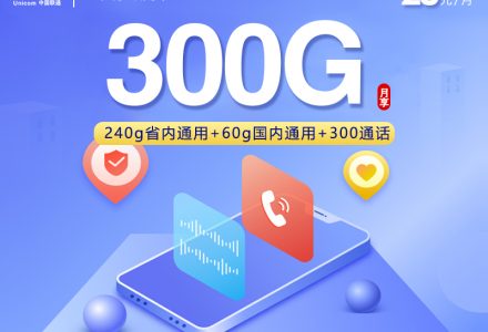 潍坊联通专属流量卡 28 元享 300G 超大流量 + 300 分钟通话-绿港号卡网
