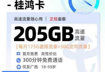广西电信桂鸿卡【广西专属】39 元 / 月 175G 通用 + 30G 定向 + 300 分钟通话-绿港号卡网