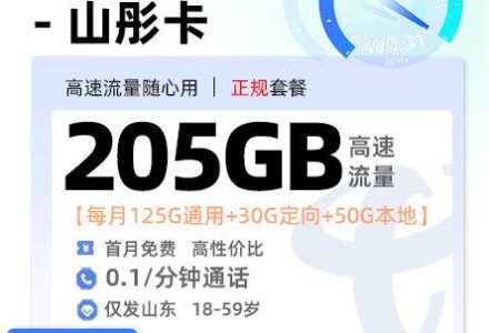 山东电信山彤卡【山东专属】29 元 / 月 125G 全国 + 50G 省内 + 30G 定向-绿港号卡网